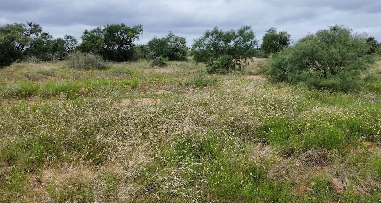 207 acres in San Saba County - photo 23