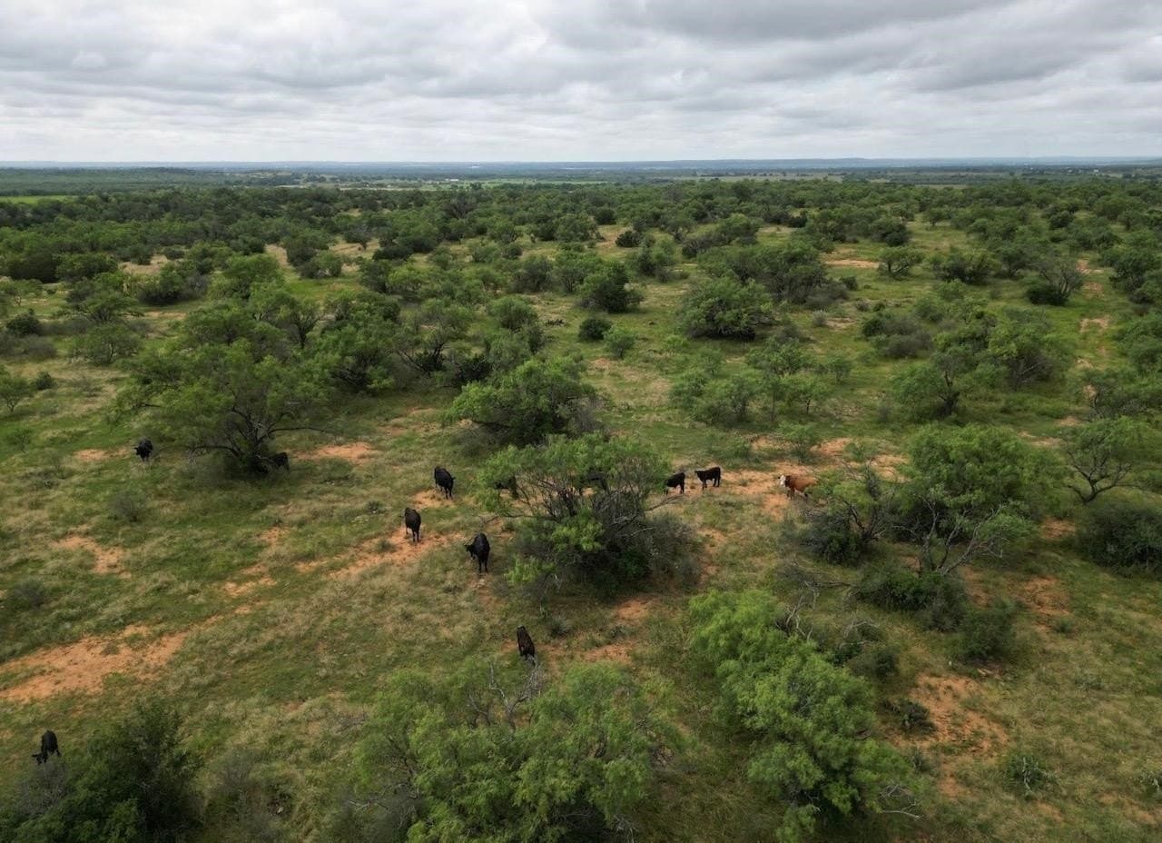 207 acres in San Saba County gallery image 3