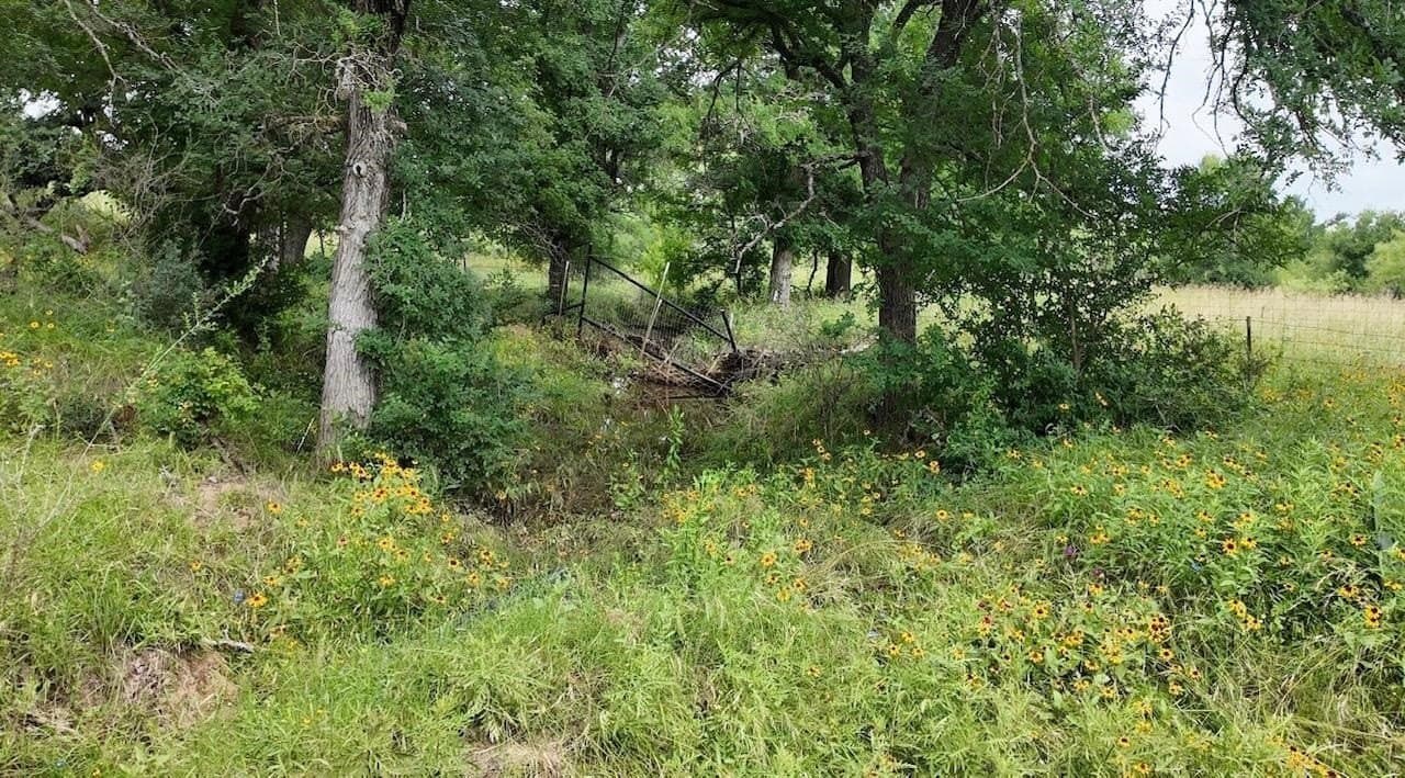 207 acres in San Saba County - photo 28