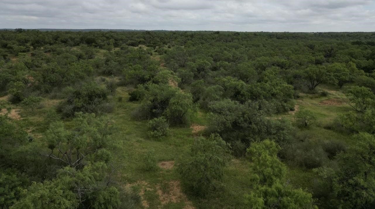 207 acres in San Saba County gallery image 4