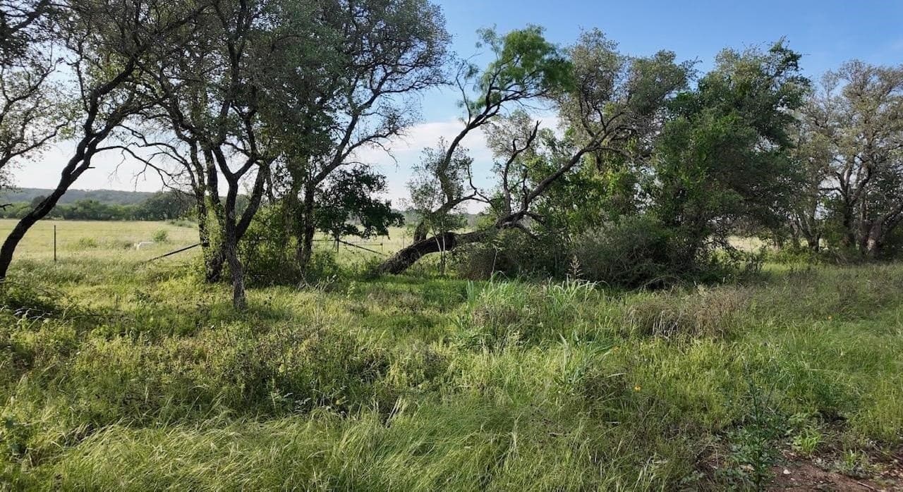 207 acres in San Saba County - photo 6