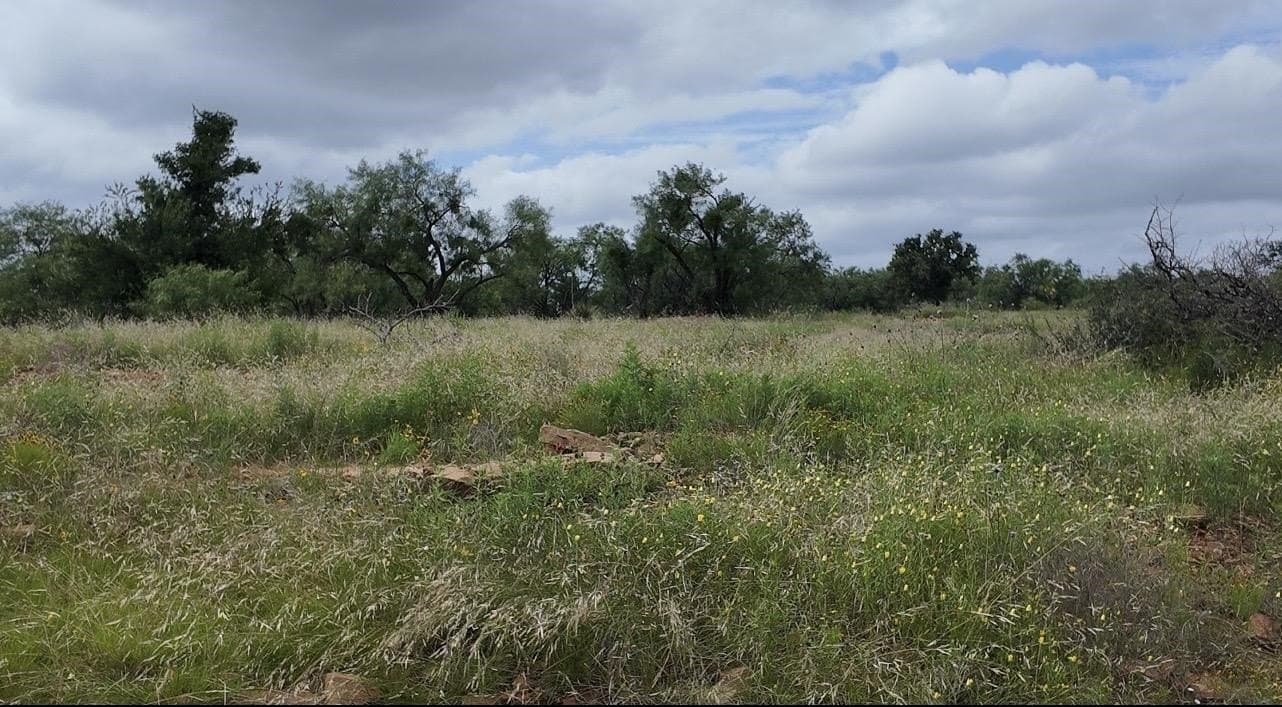 207 acres in San Saba County - photo 15