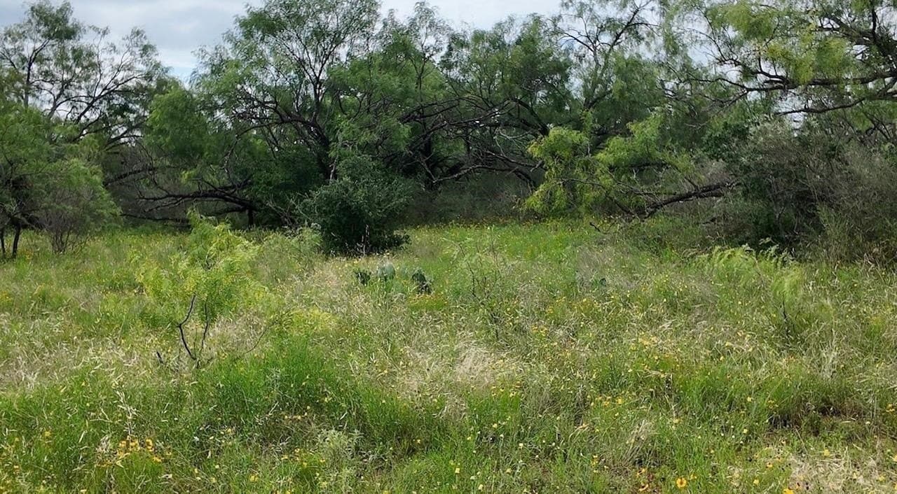 207 acres in San Saba County - photo 18