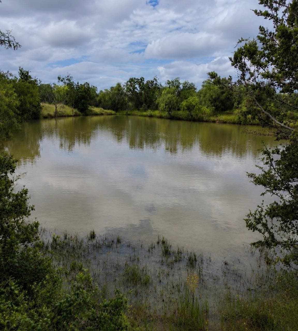 207 acres in San Saba County - photo 8
