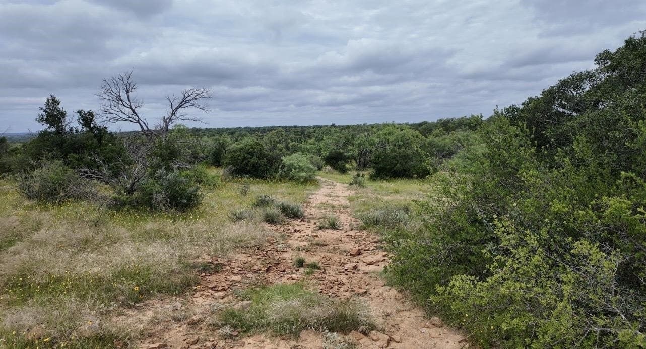 207 acres in San Saba County - photo 13