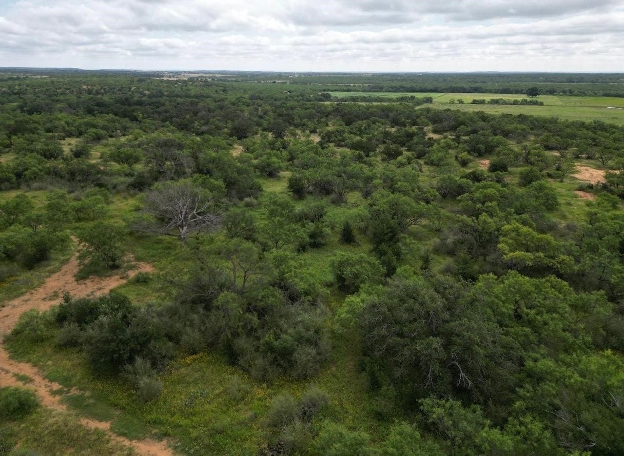 207 acres in San Saba County gallery image 2