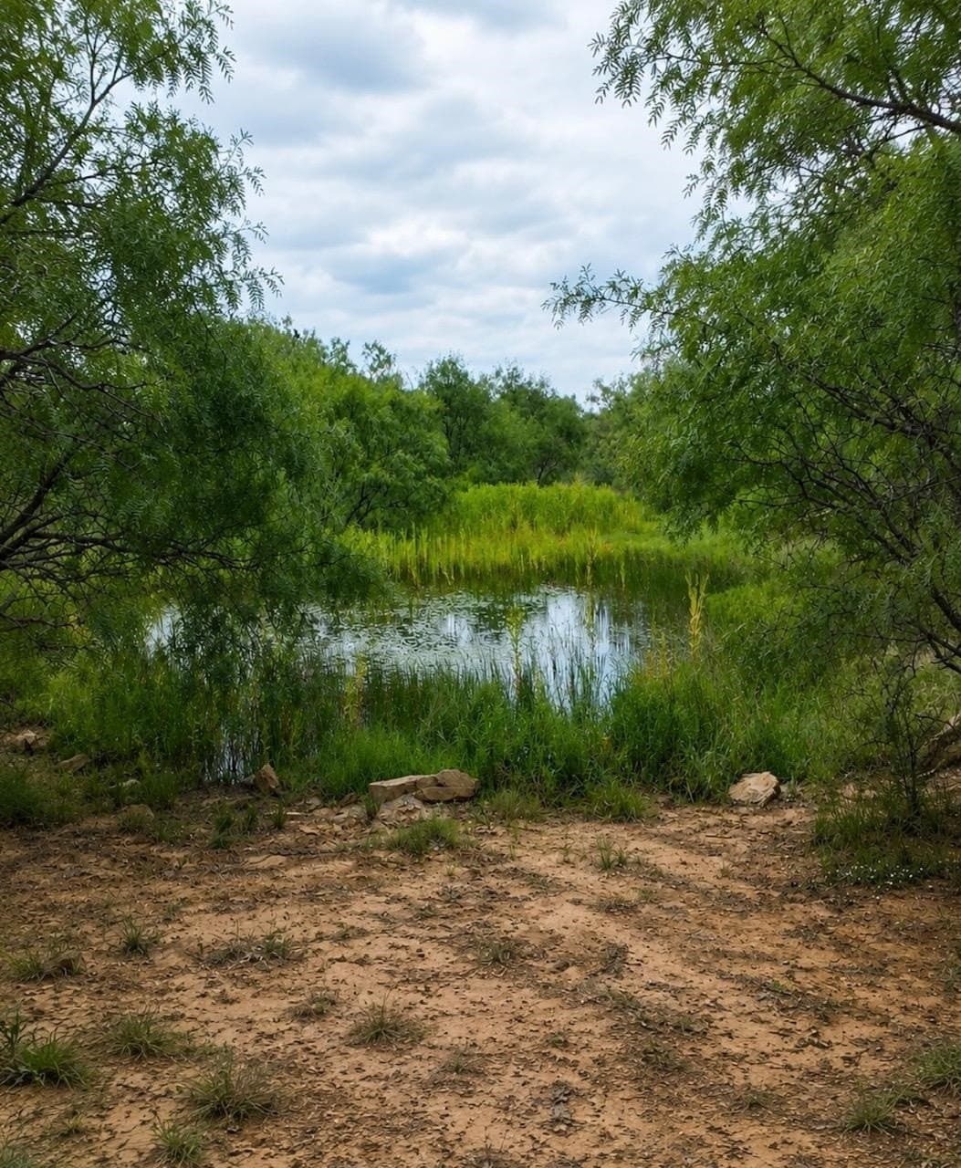207 acres in San Saba County - photo 7