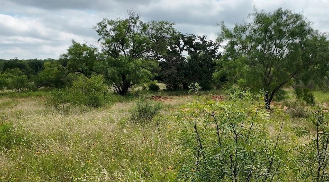 207 acres in San Saba County - photo 21