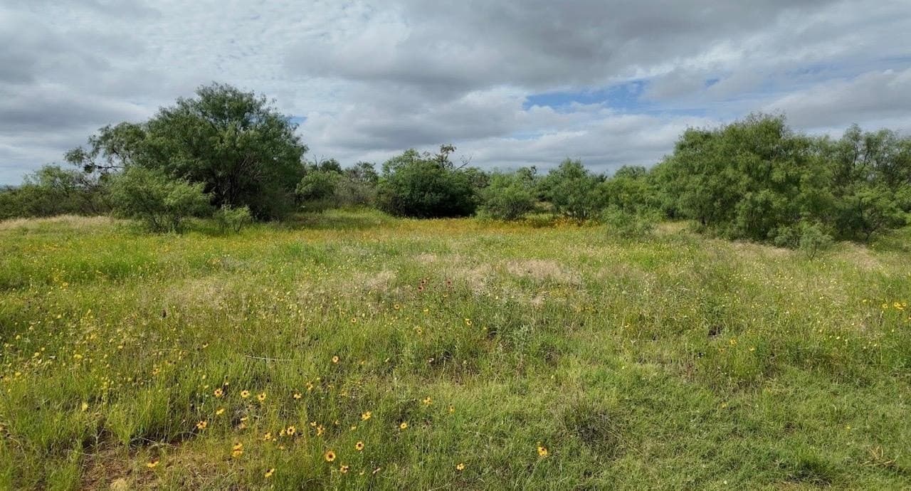 207 acres in San Saba County - photo 11