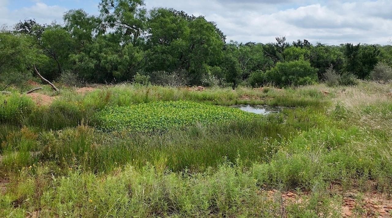 207 acres in San Saba County - photo 9