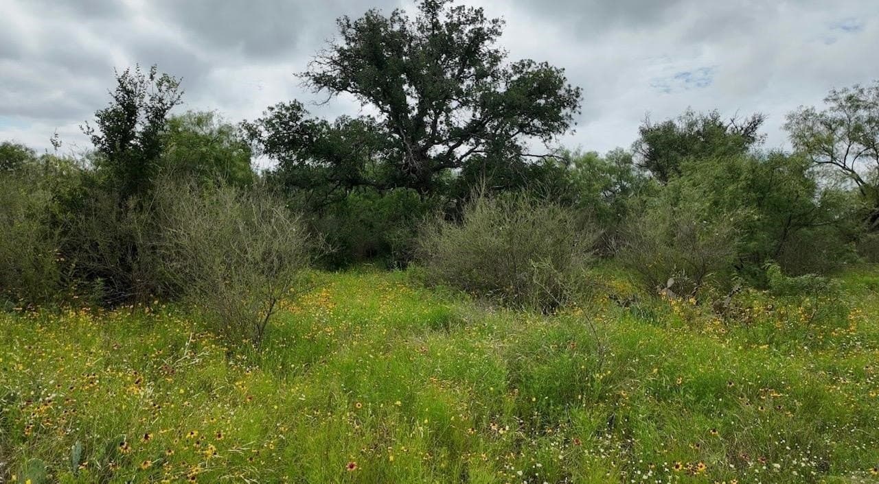207 acres in San Saba County - photo 25