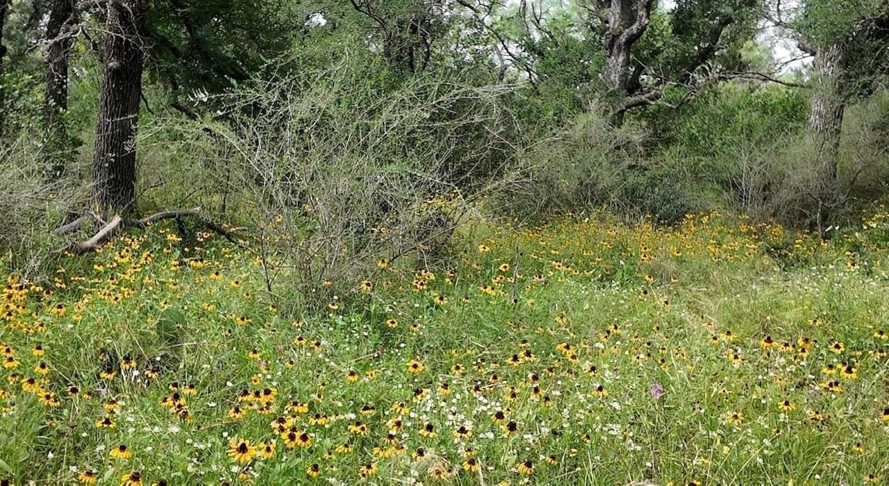 207 acres in San Saba County - photo 14