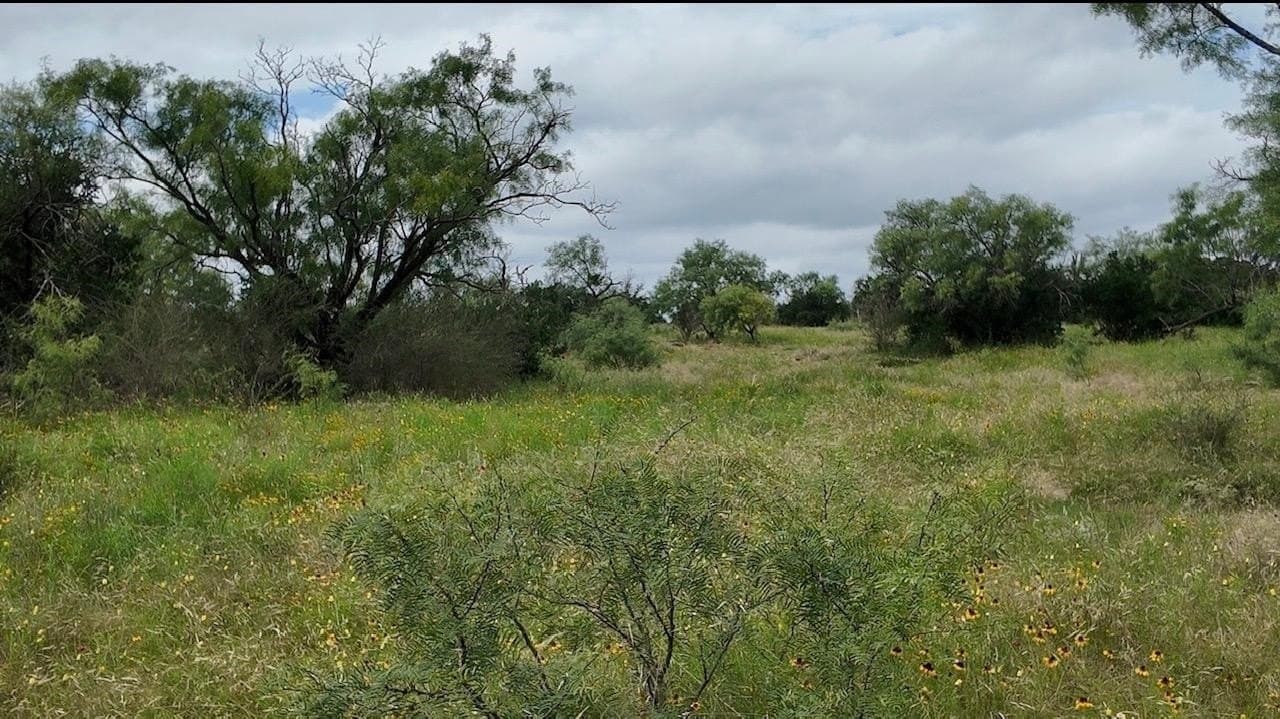 207 acres in San Saba County - photo 20