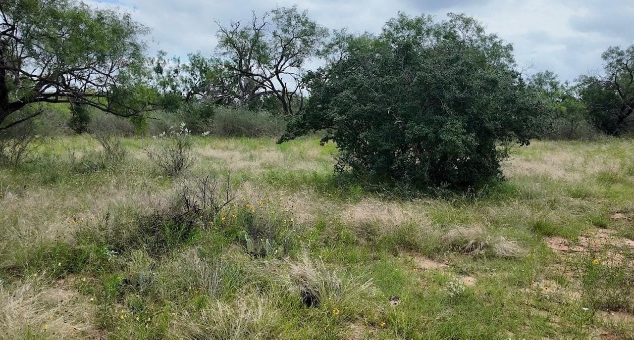 207 acres in San Saba County - photo 27