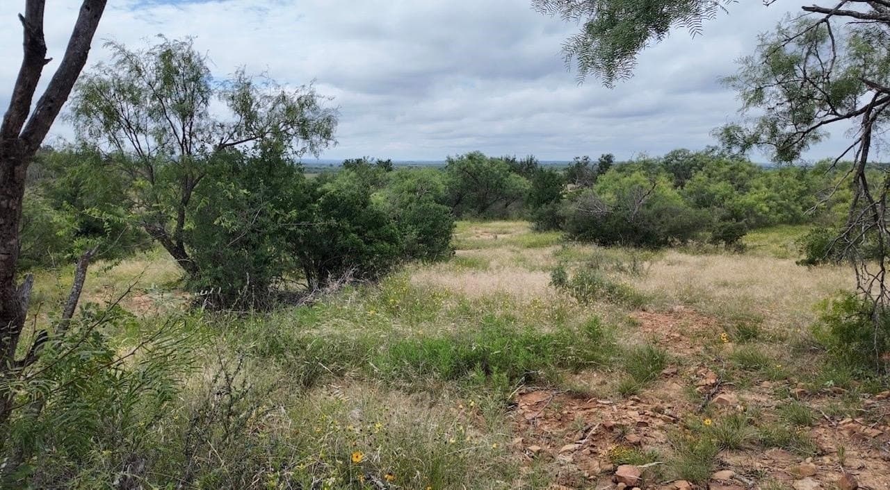 207 acres in San Saba County - photo 17
