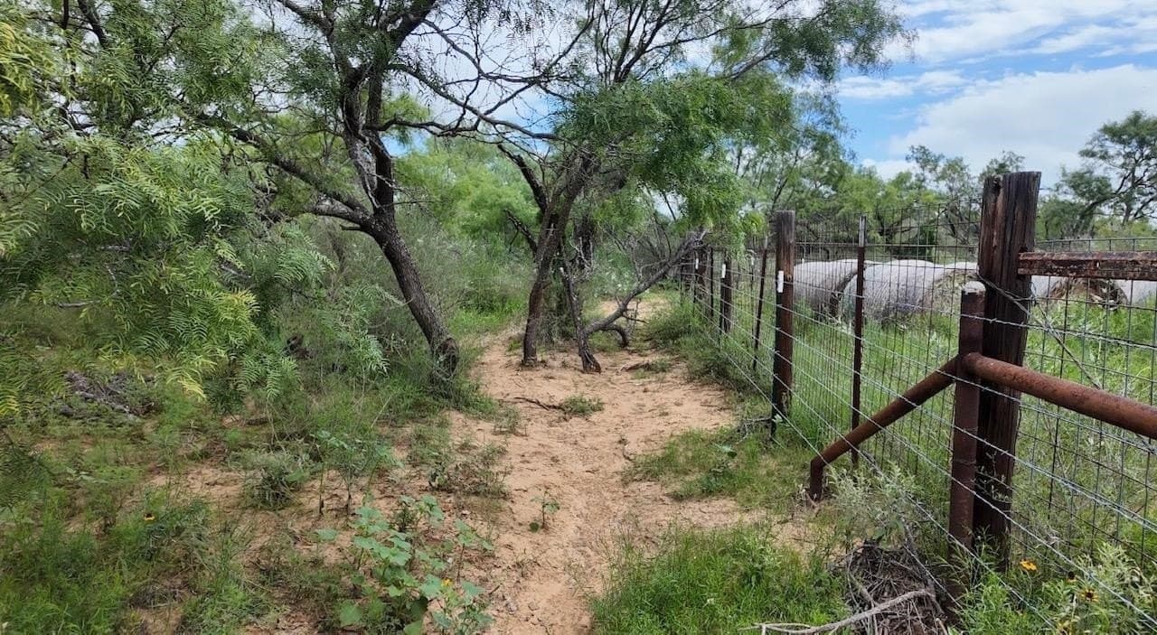 207 acres in San Saba County - photo 19