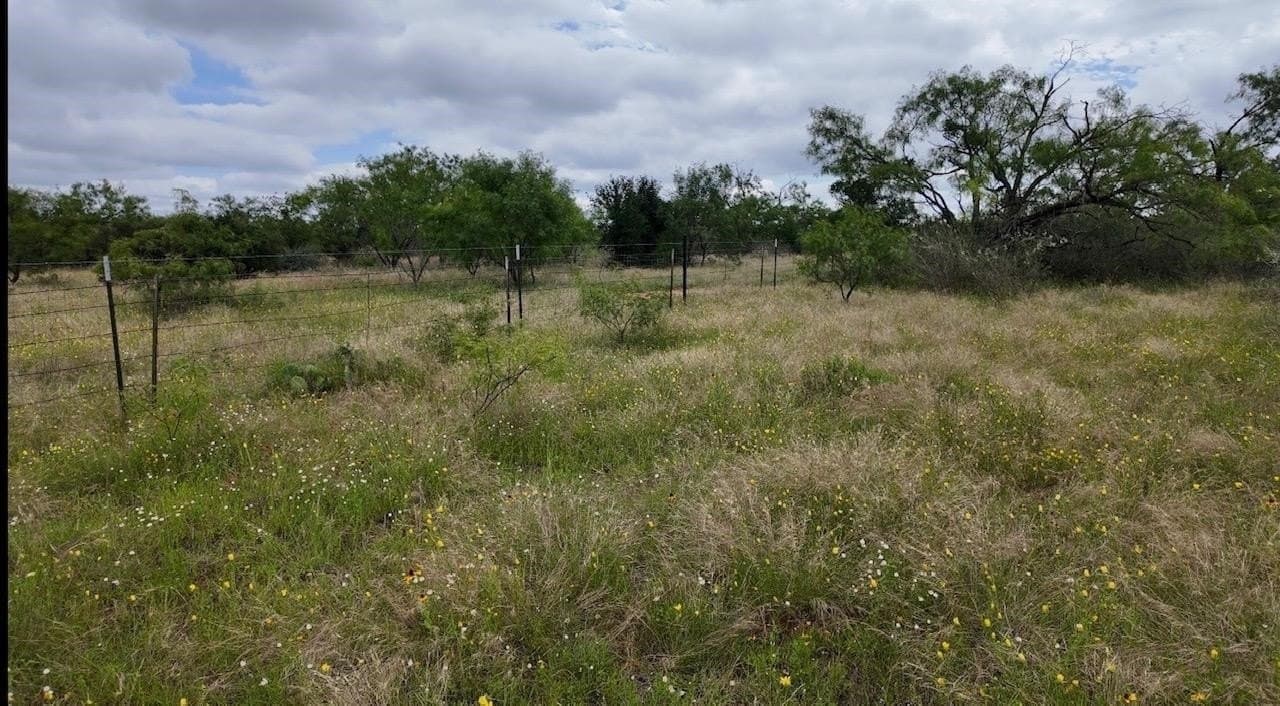 207 acres in San Saba County - photo 26