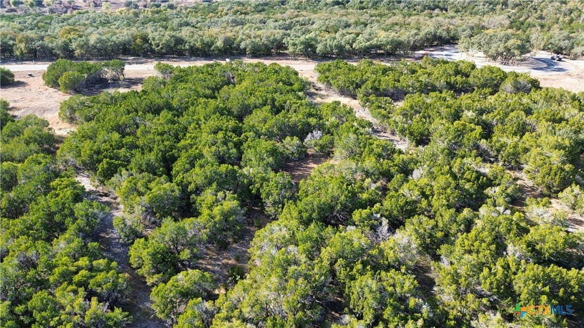 3.45 acres in Bell County - photo 6