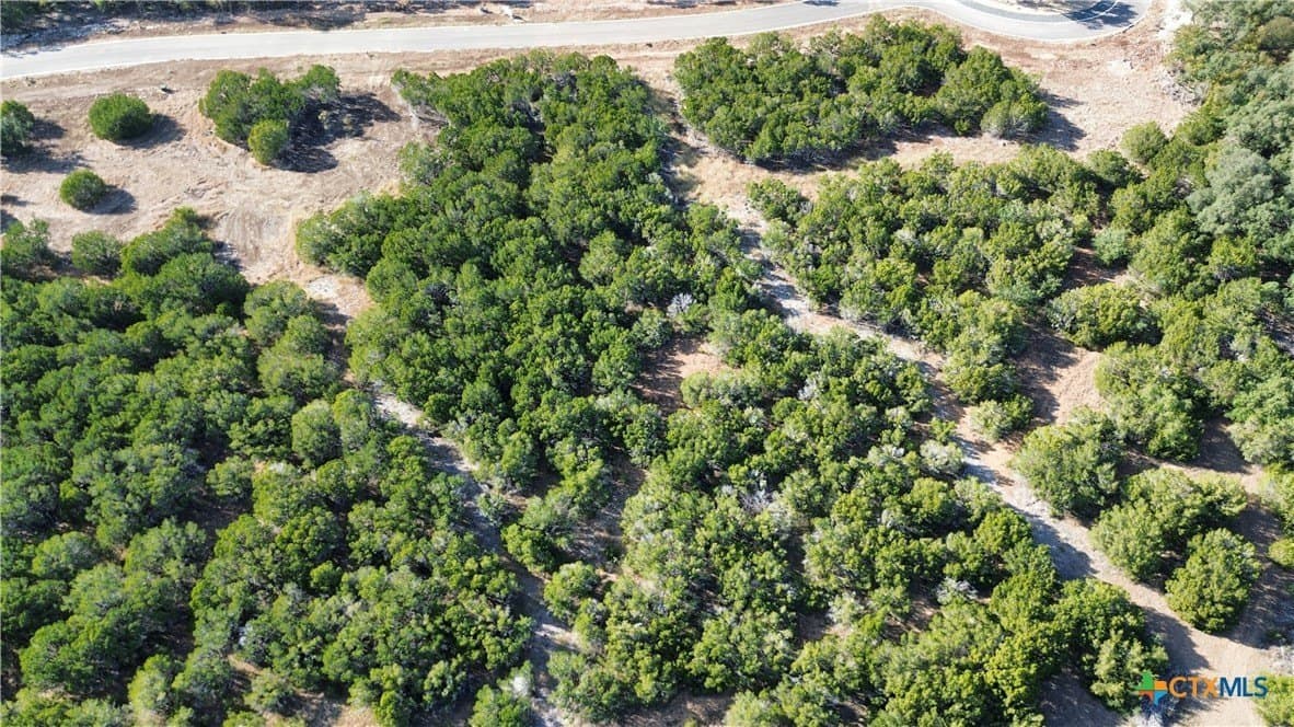 3.45 acres in Bell County - photo 7