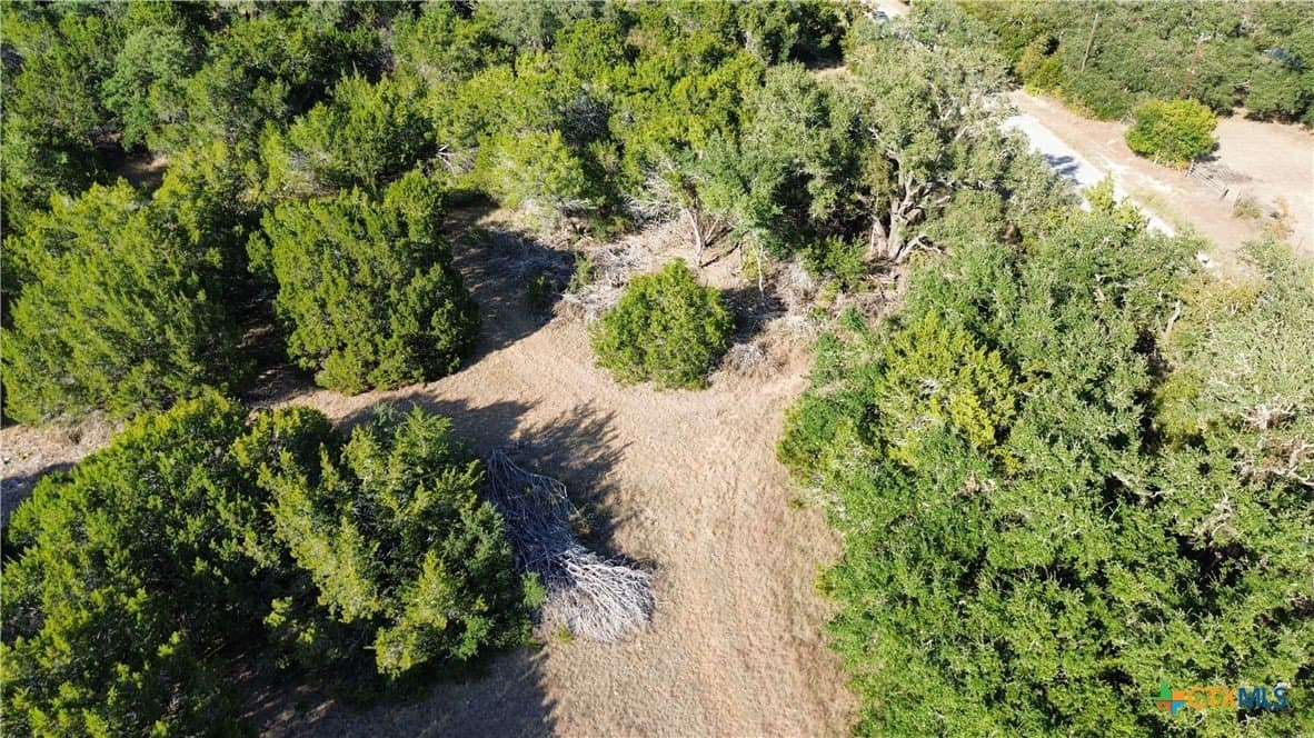 3.45 acres in Bell County gallery image 4