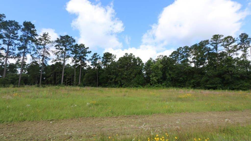 14.09 acres in Texas County - photo 28