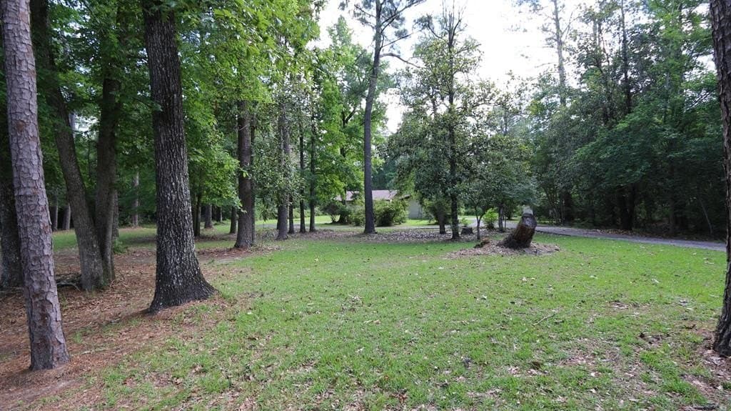 14.09 acres in Texas County - photo 26