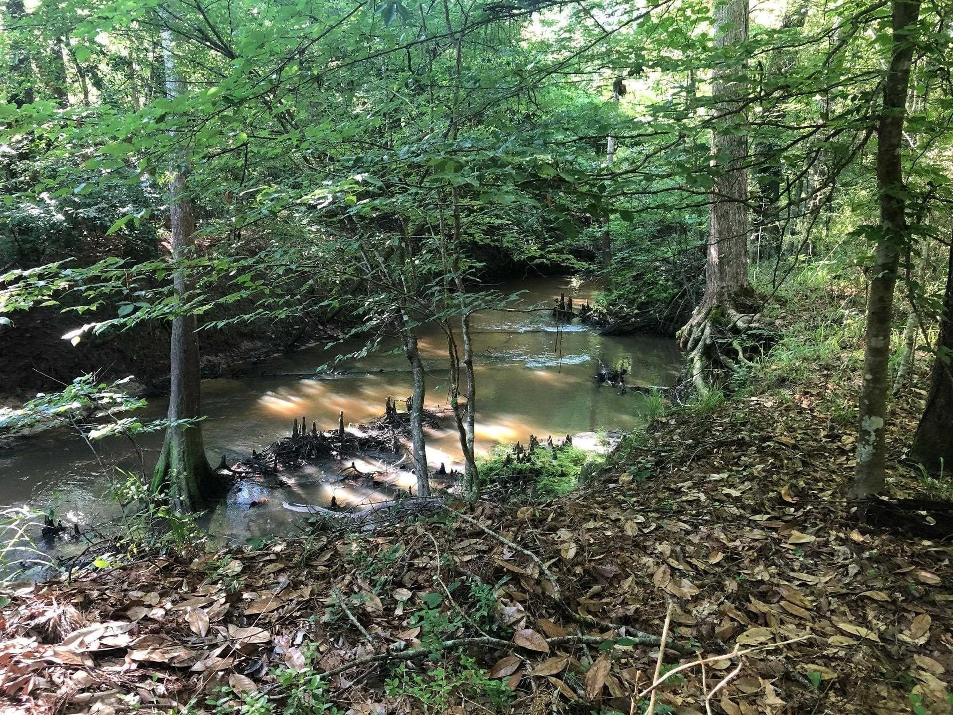 14.09 acres in Texas County - photo 20