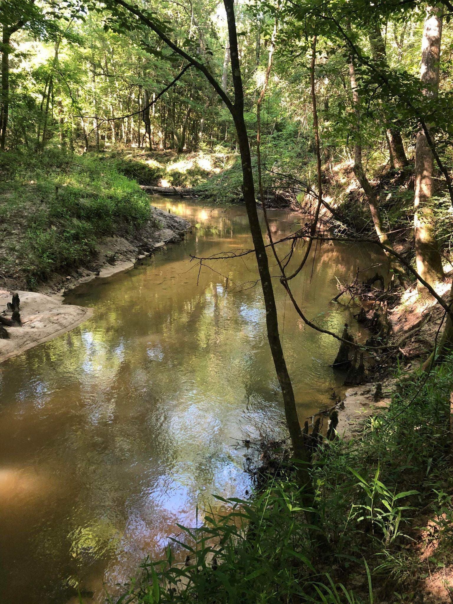 14.09 acres in Texas County - photo 19