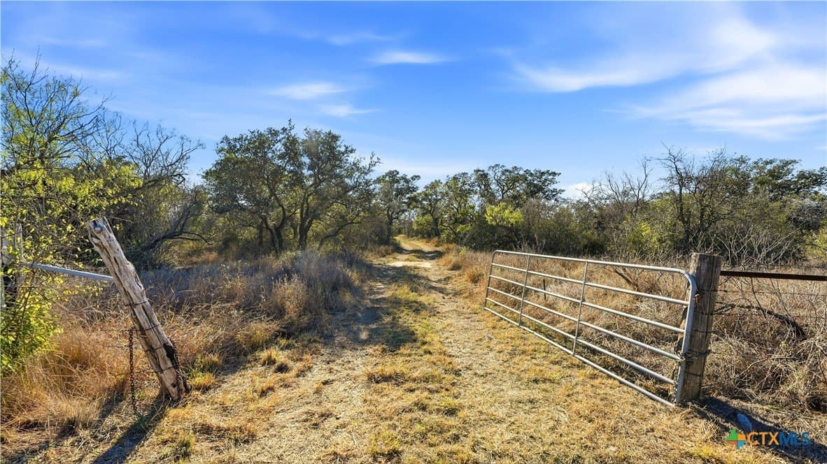 19.93 acres in Wilson County gallery image 3