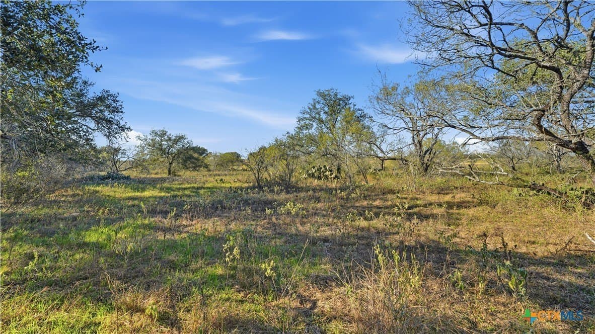 19.93 acres in Wilson County featured view
