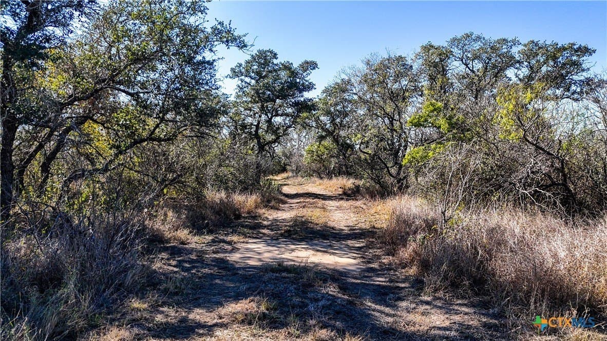 19.93 acres in Wilson County gallery image 4