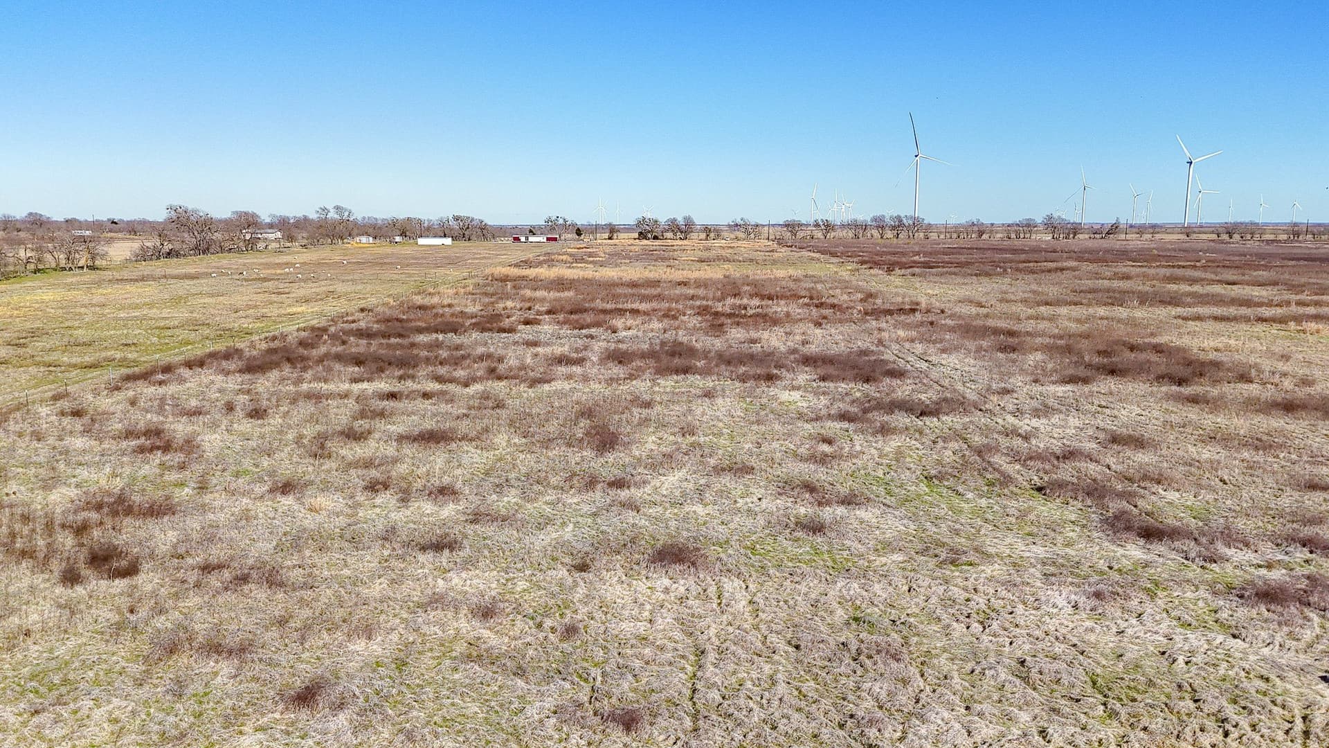 12.7 acres in Navarro County - photo 18