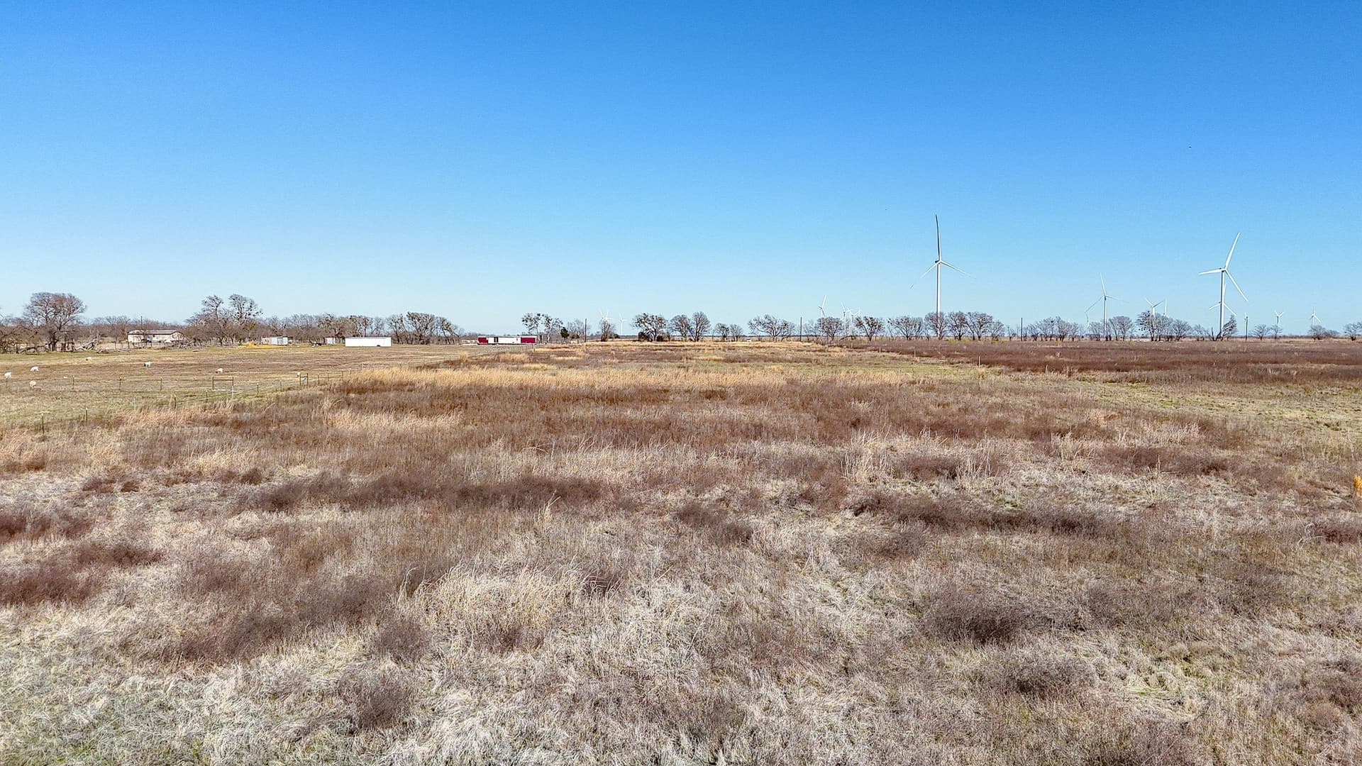 12.7 acres in Navarro County - photo 19
