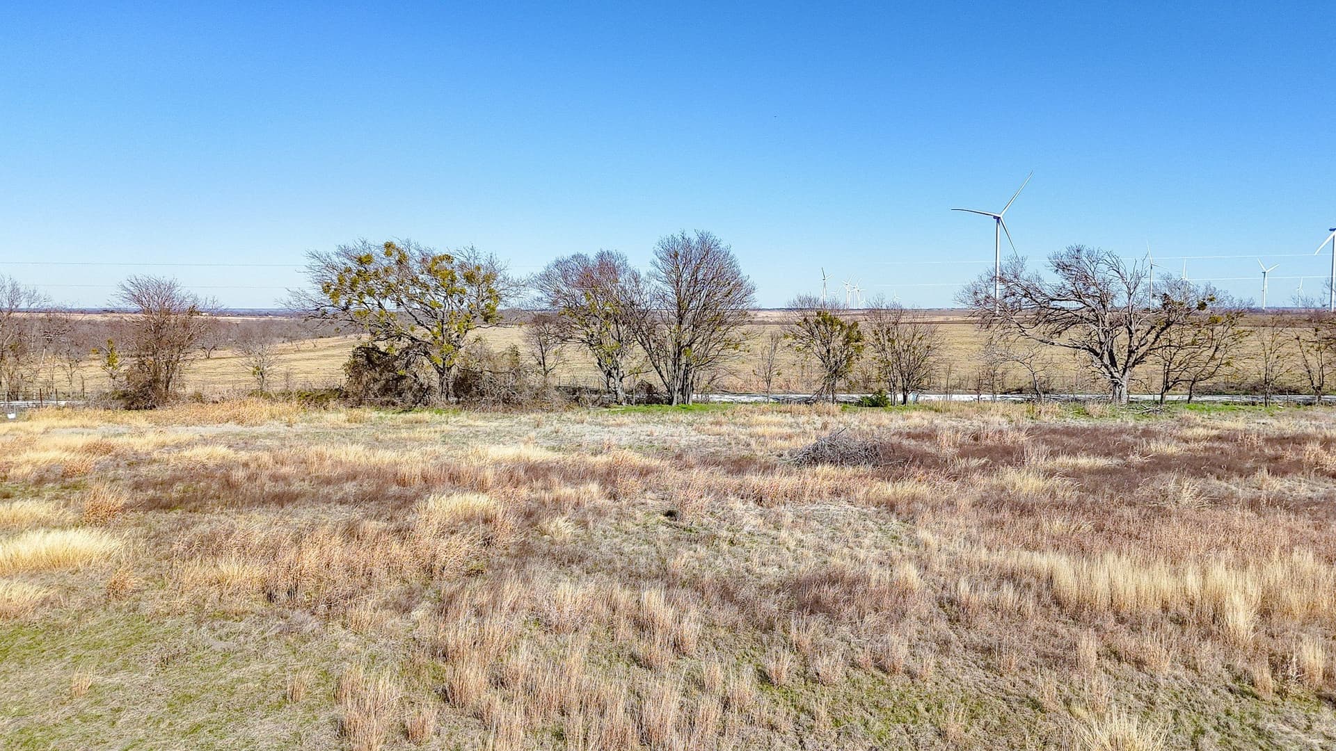12.7 acres in Navarro County - photo 23