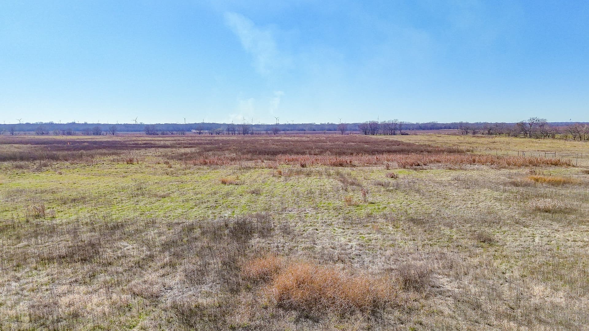 12.7 acres in Navarro County - photo 9