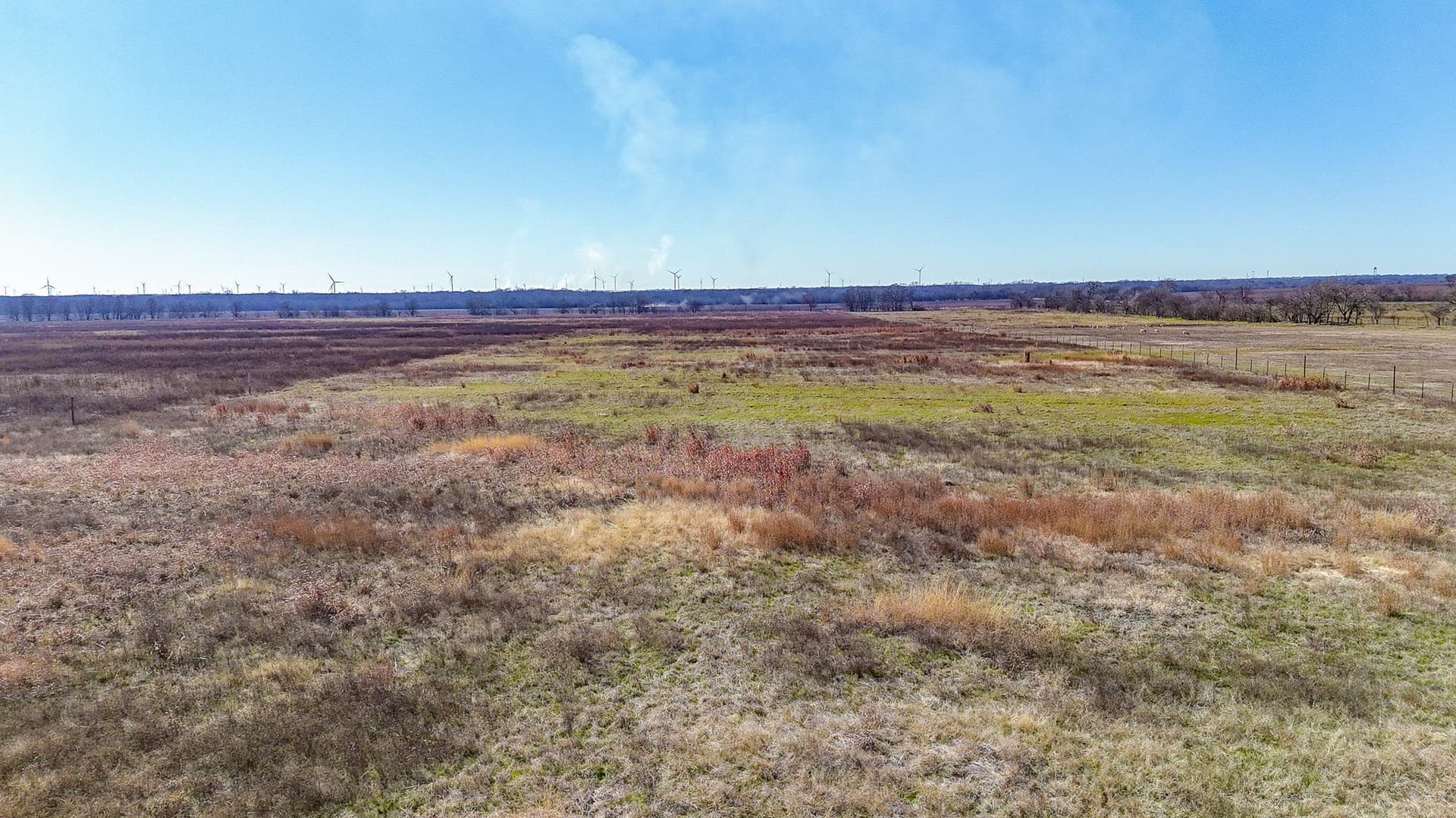 12.7 acres in Navarro County - photo 6