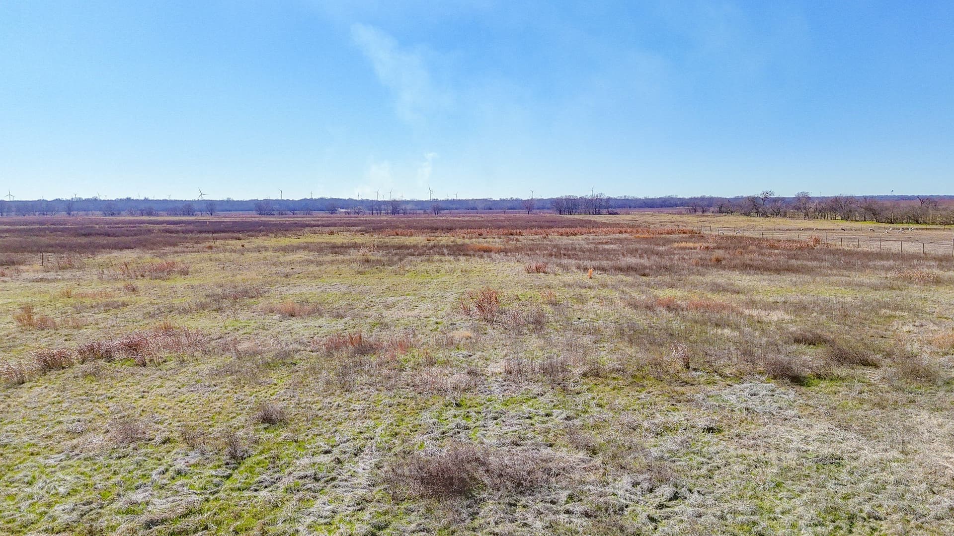 12.7 acres in Navarro County - photo 8