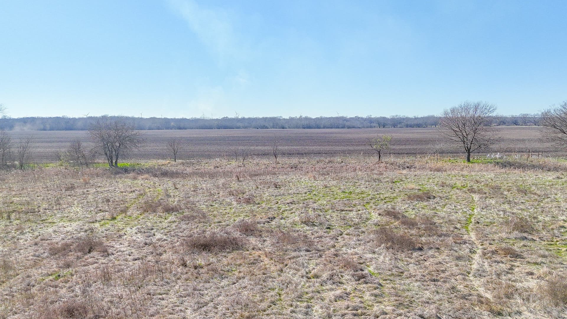 12.7 acres in Navarro County - photo 13