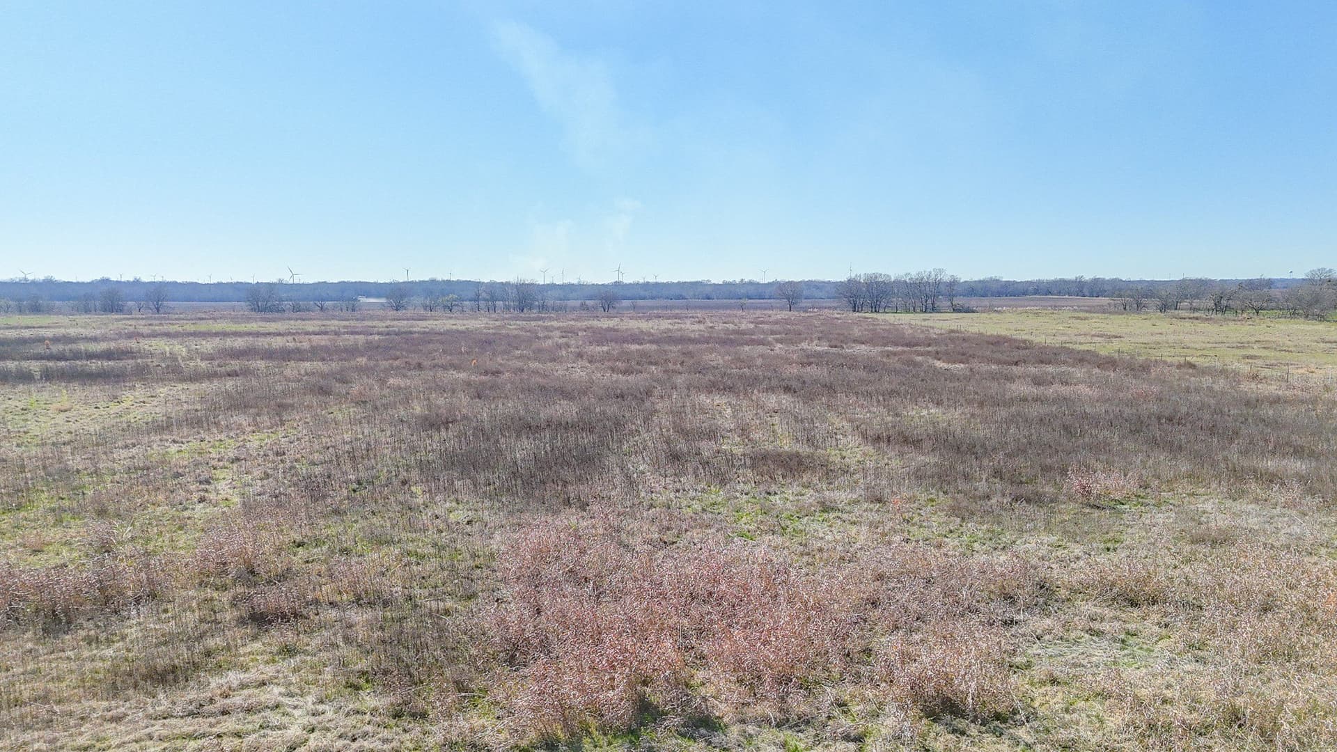 12.7 acres in Navarro County - photo 10