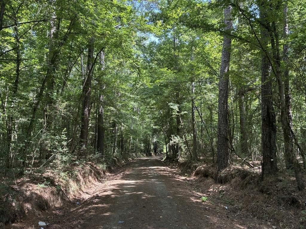 3.04 acres in Texas County - photo 4