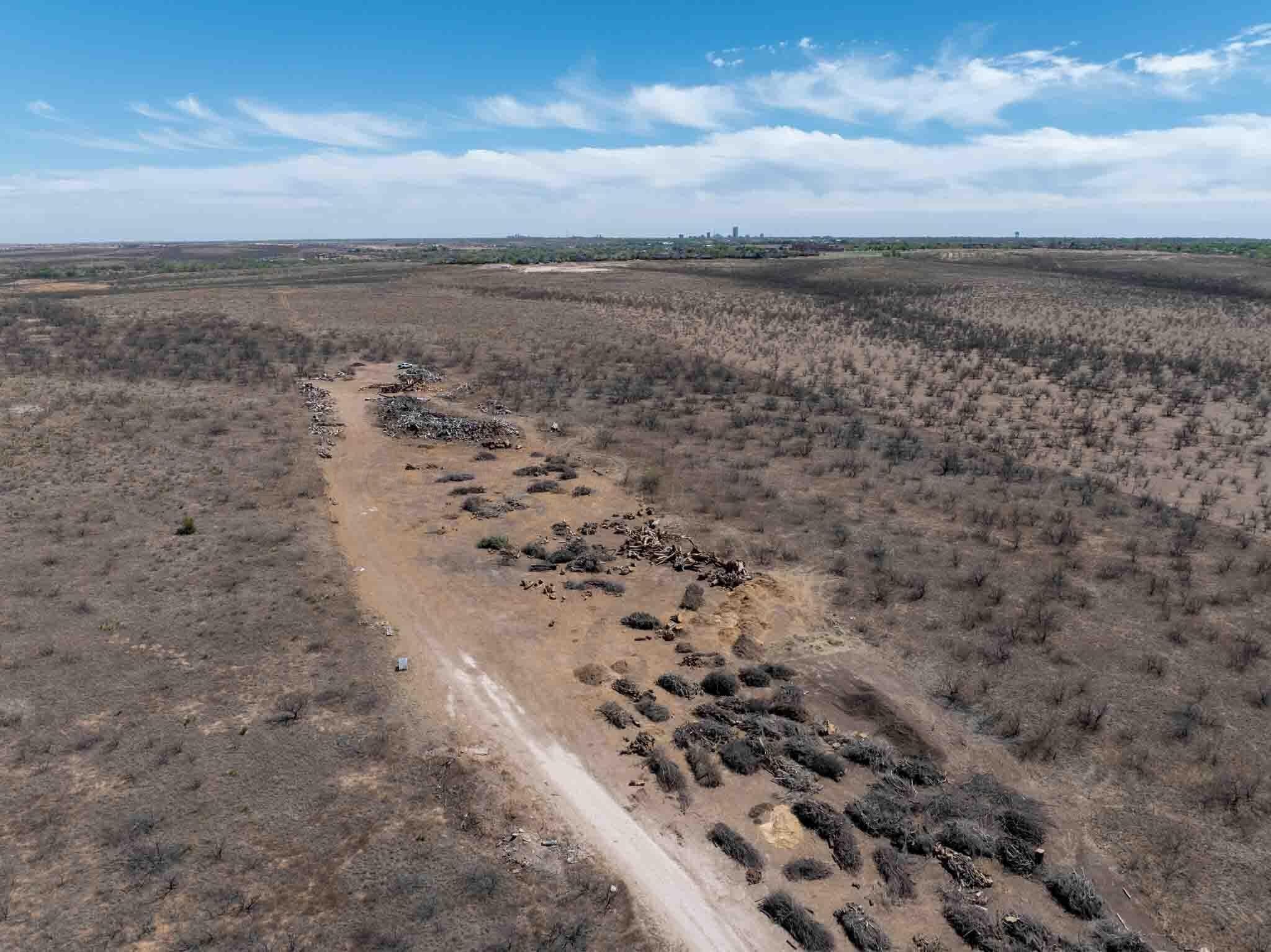 11.75 acres in Potter County featured view