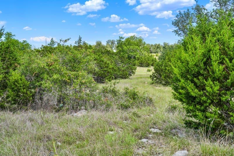 20.5 acres in Gillespie County - photo 26