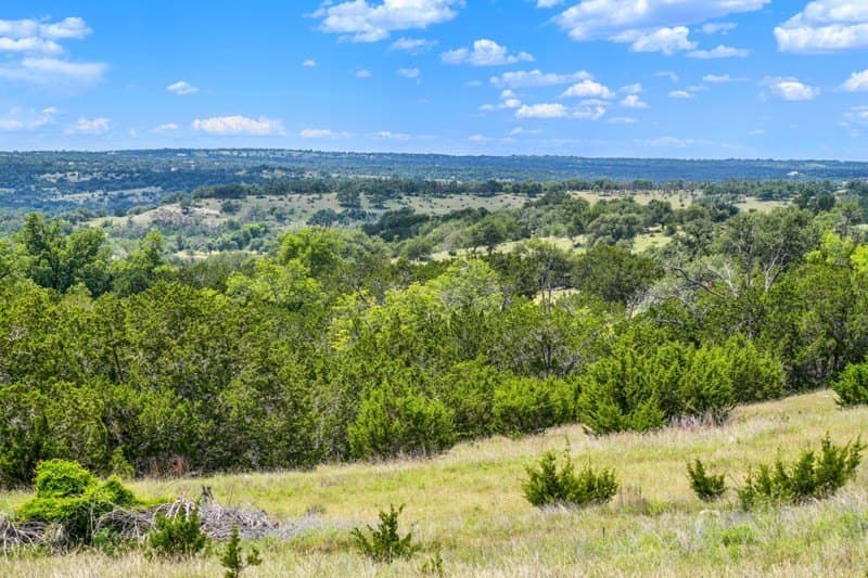 20.5 acres in Gillespie County - photo 16