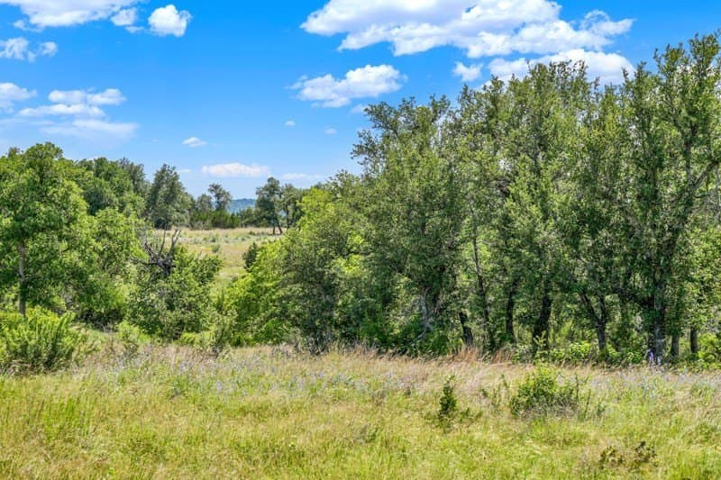 20.5 acres in Gillespie County - photo 33