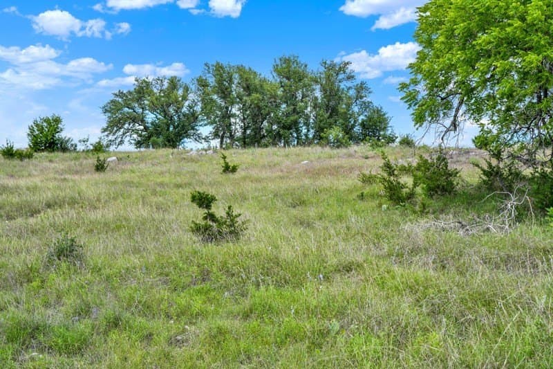 20.5 acres in Gillespie County - photo 21