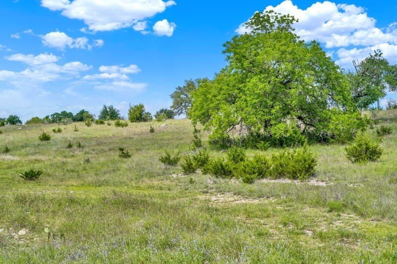 20.5 acres in Gillespie County - photo 29