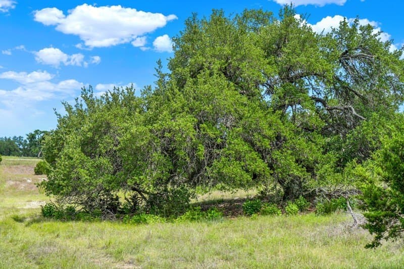 20.5 acres in Gillespie County - photo 28