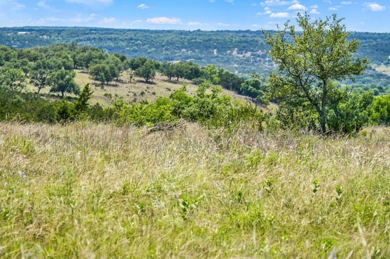 20.5 acres in Gillespie County - photo 37