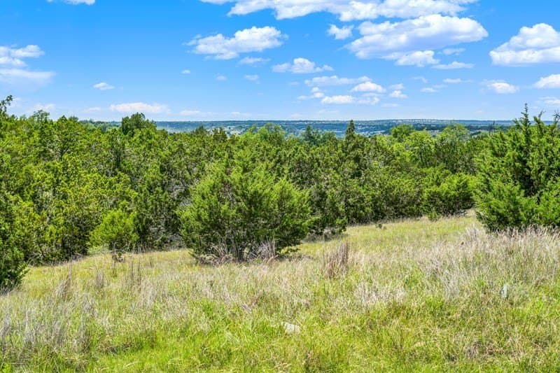 20.5 acres in Gillespie County - photo 30