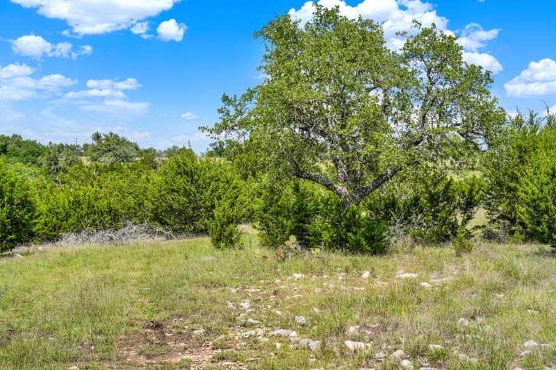 20.5 acres in Gillespie County - photo 24